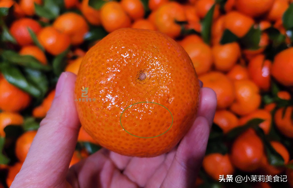 网上买沙糖桔是不是便宜的,沙糖桔真伪