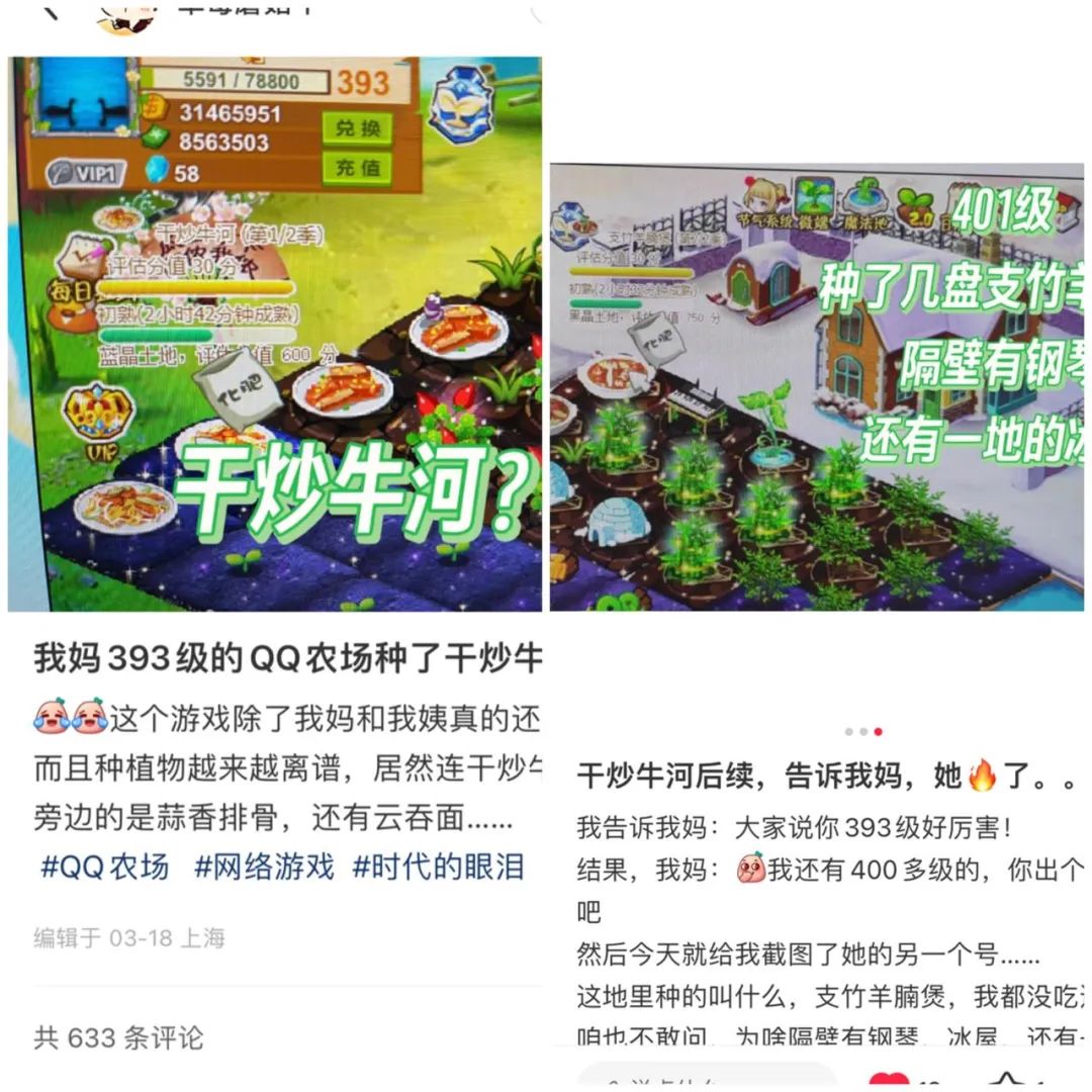 55岁阿姨玩《QQ农场》14年,已经种出干炒牛河
