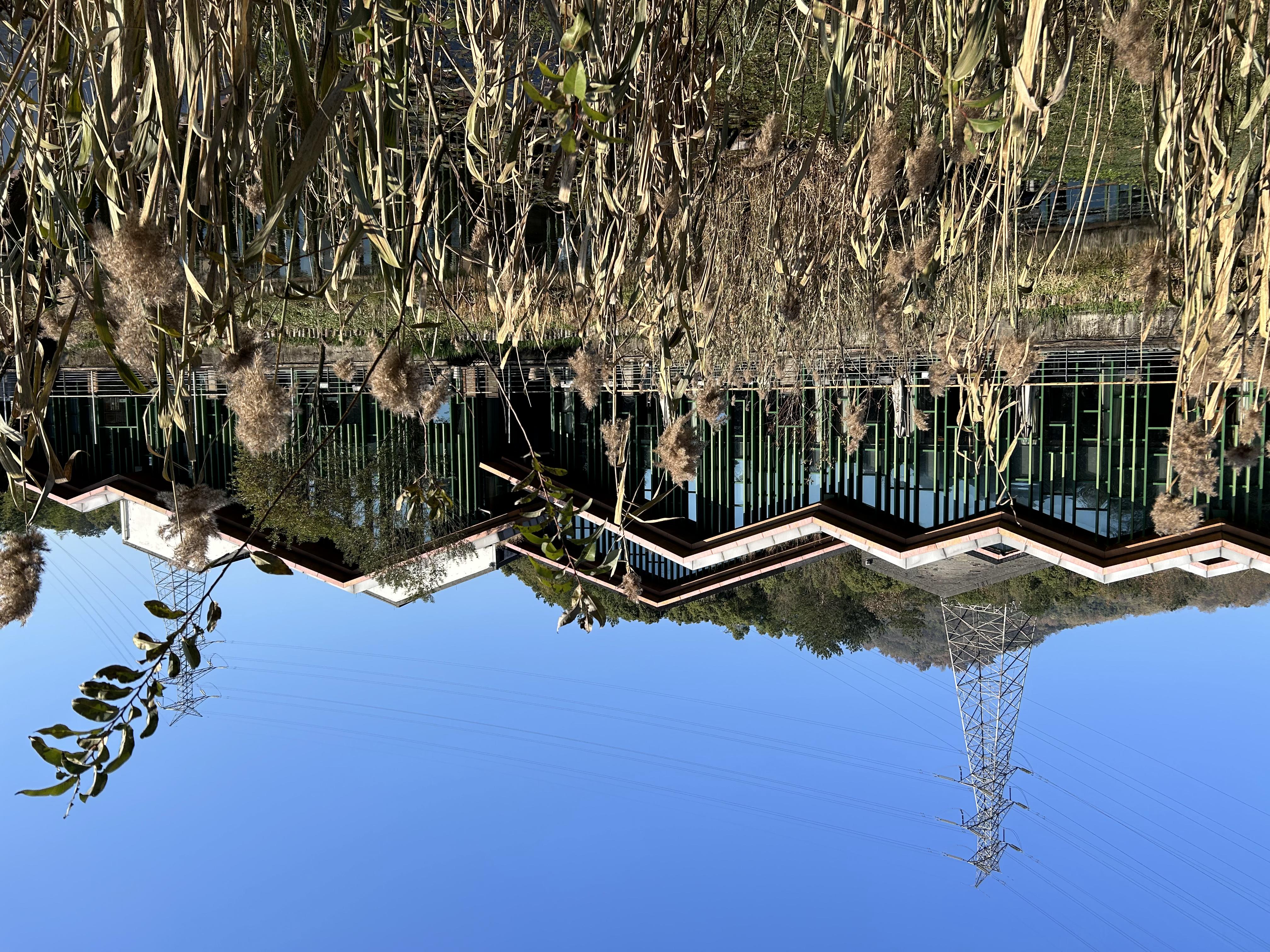 美食荒漠杭州,北京杭州美食荒漠