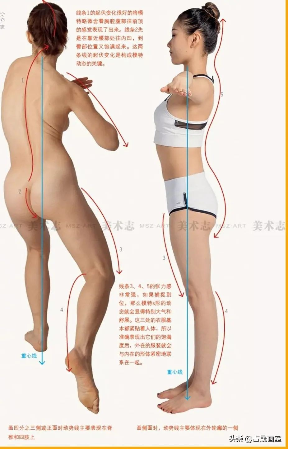 美术干货|适合零基础的美术新手练习的干货知识，码住