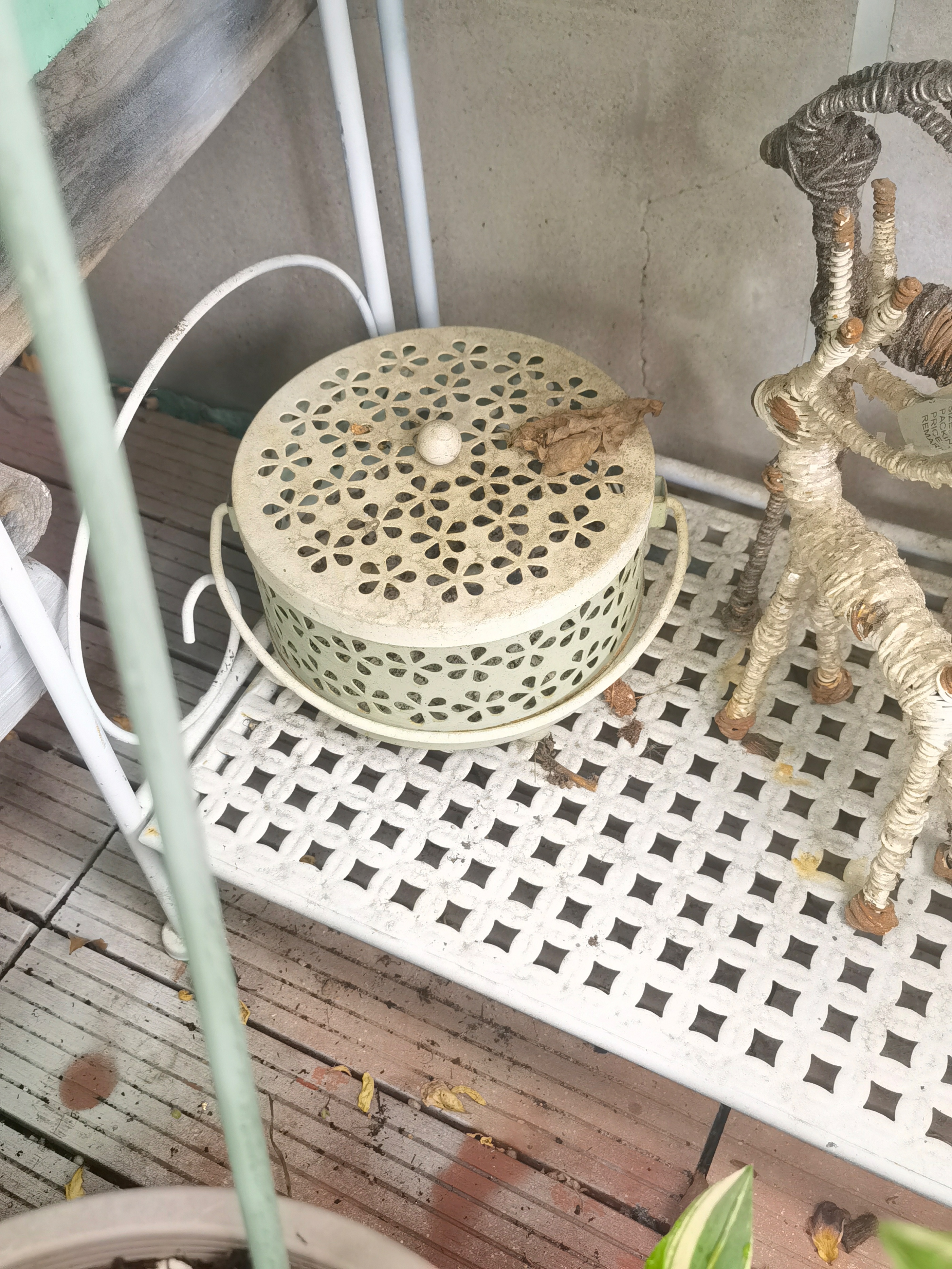 夏季常见驱蚊植物亲测有效,亲测10款驱蚊产品使用报告