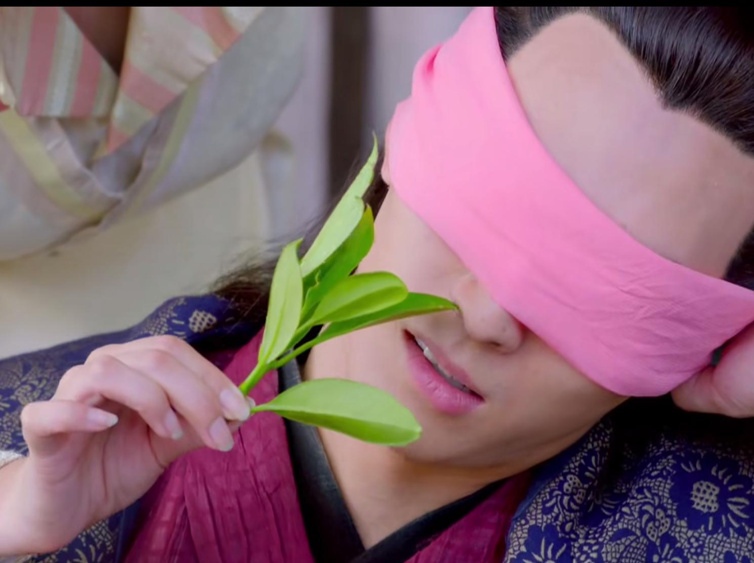 楚乔传燕洵无私的付出感动了楚乔,楚乔传原著燕洵有多狠