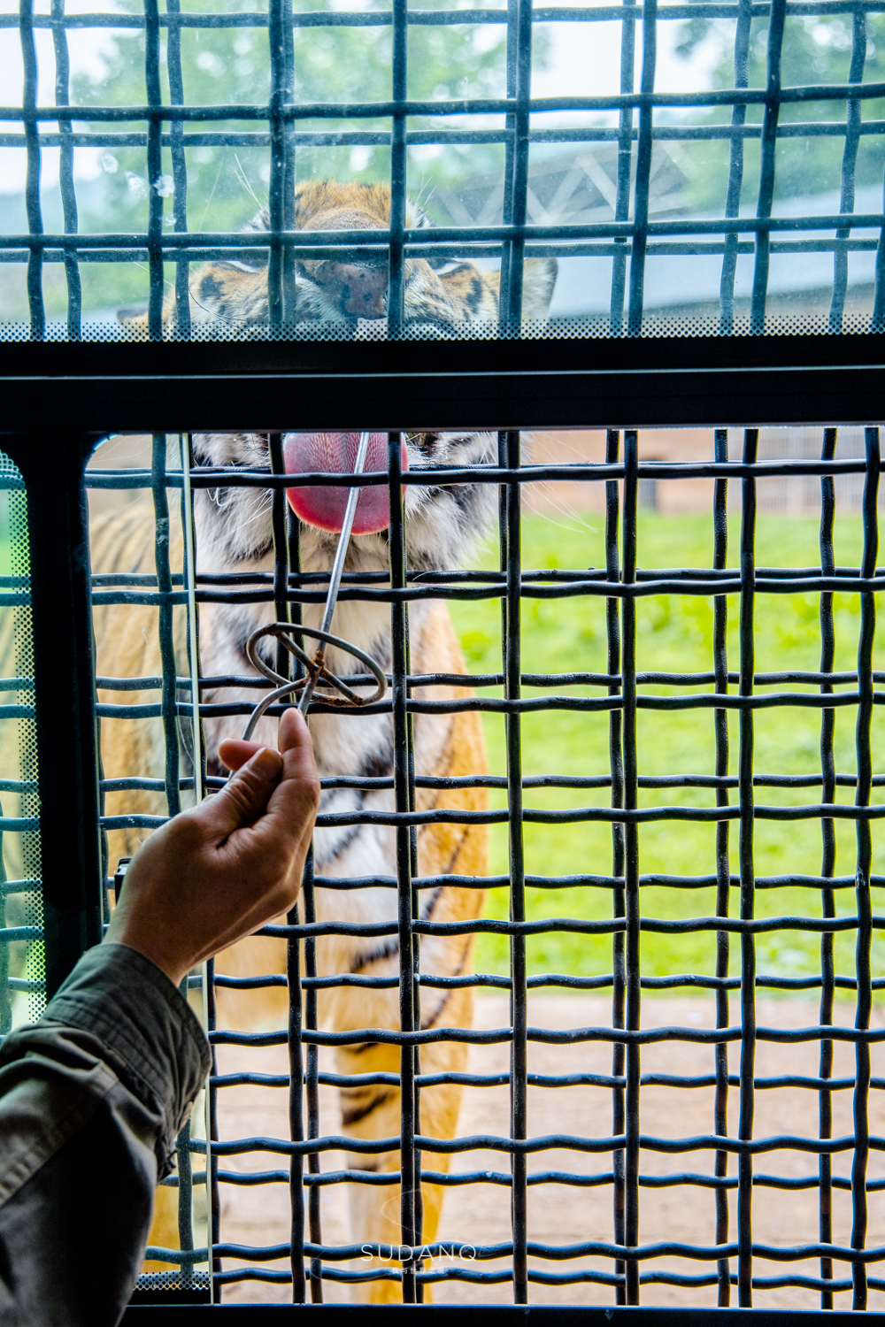 武汉哪个动物园比较适合小朋友玩,武汉值得带孩子去的动物园