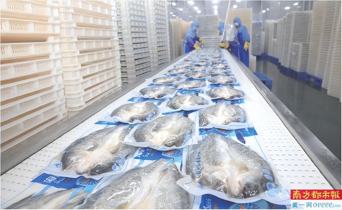 “食”力转化为制造“实”力!广东力争年内把食品工业做成万亿级产业