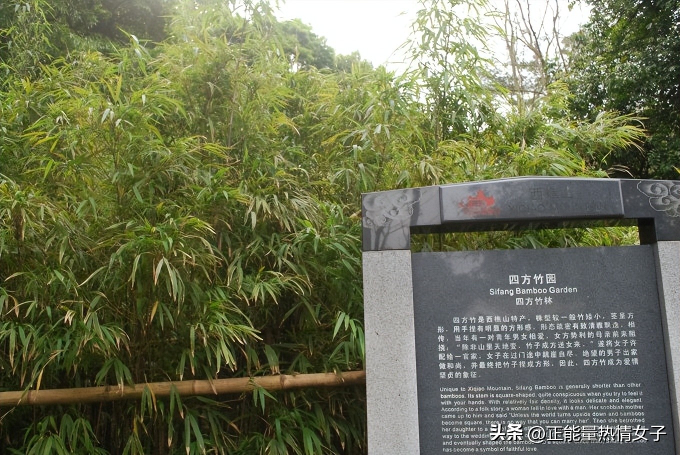 黄飞鸿故乡西樵,祖庙游玩攻略黄飞鸿