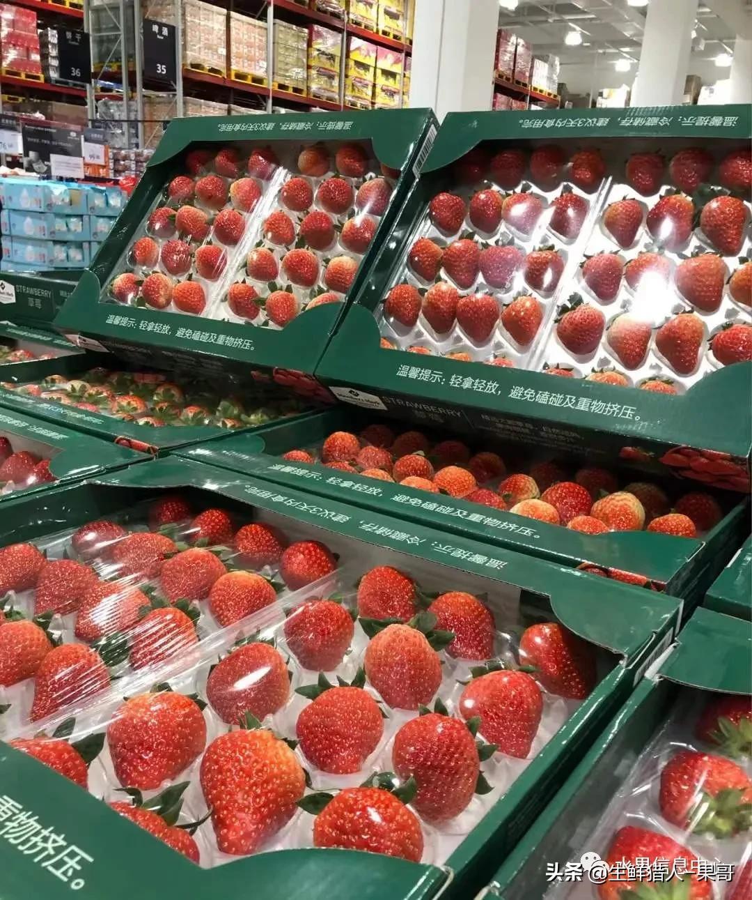 在水果中浆果是分哪几种,水果分类浆果