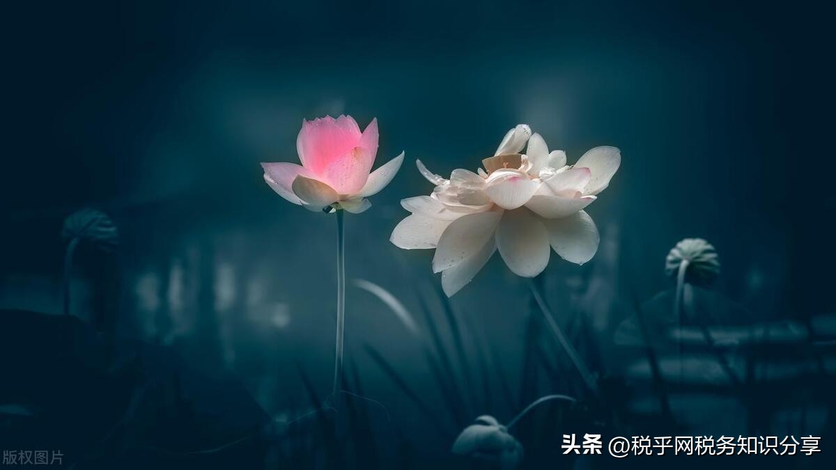 纳税人拒不开发票税务怎么办,开发票税费由买方承担怎么投诉