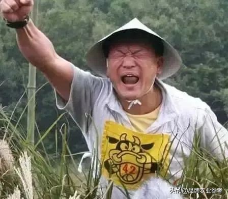 日本现代农业种植技术,日本精致农业的6个秘诀和8个案例