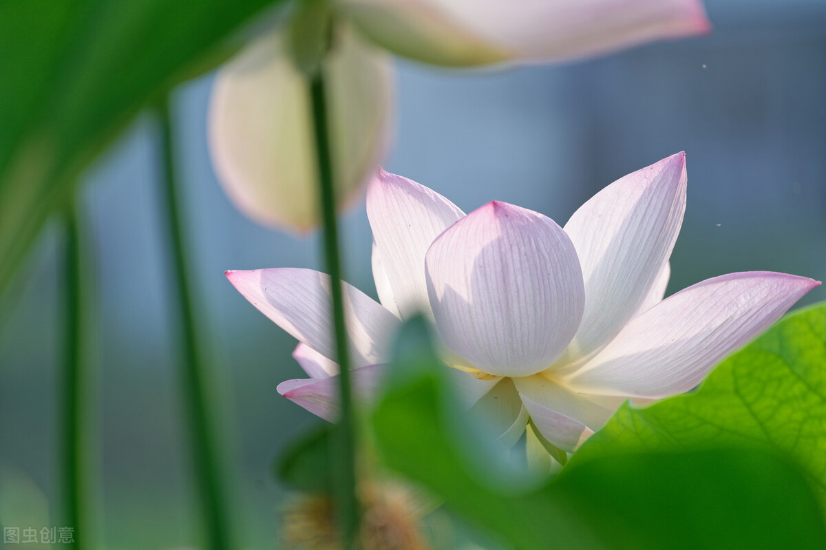 一场突如其来的葬礼后，我用这3点，治愈我自己