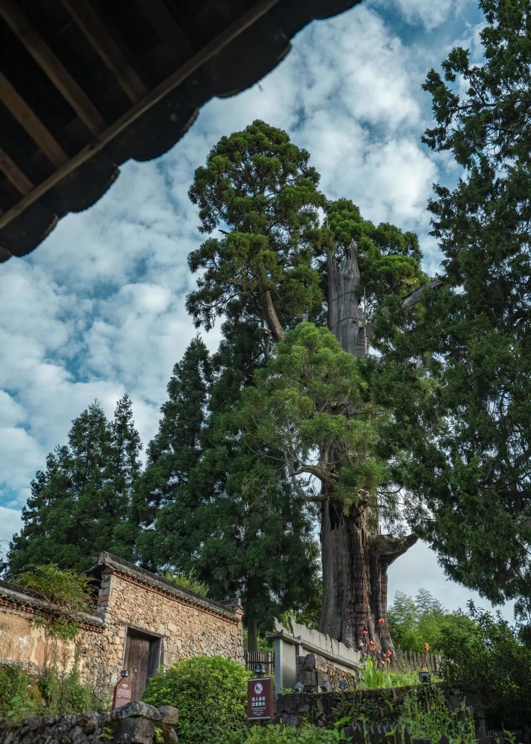 丽水游玩攻略一天,丽水游玩攻略2日游