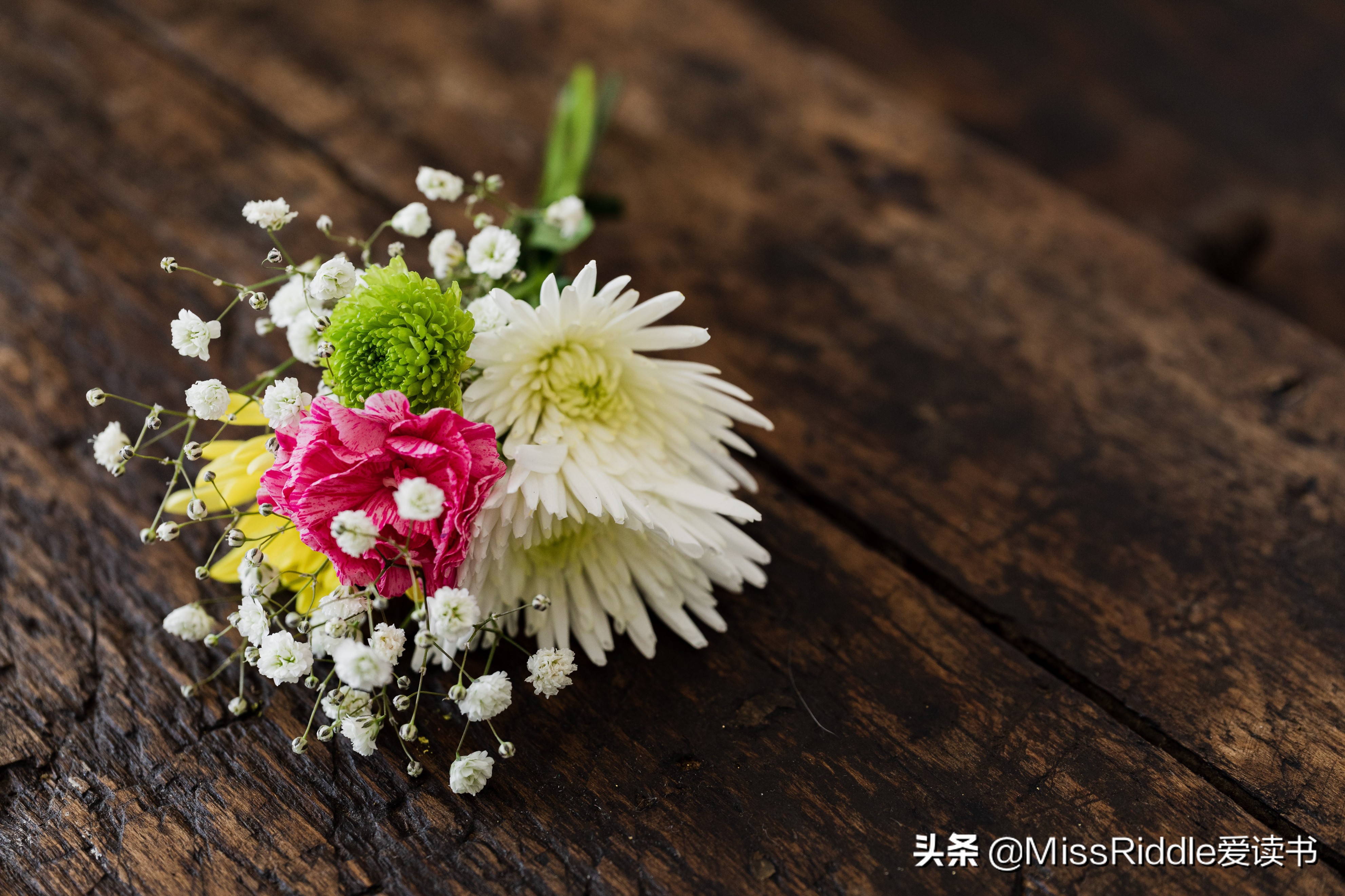 奥巴马催更的科幻小说,奥巴马写信催更的小说