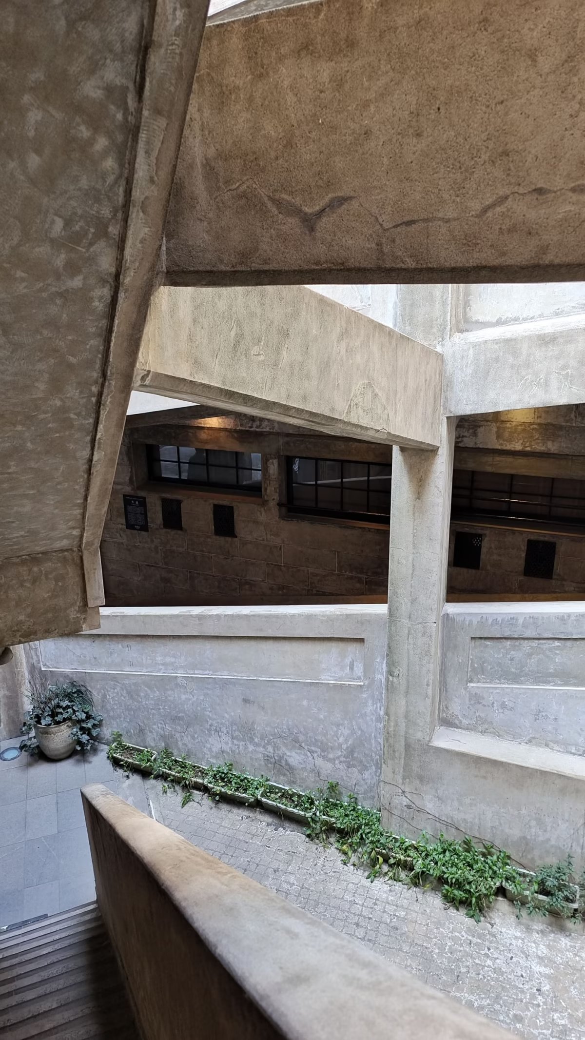 上海研学计划三天两夜,上海研学两日游