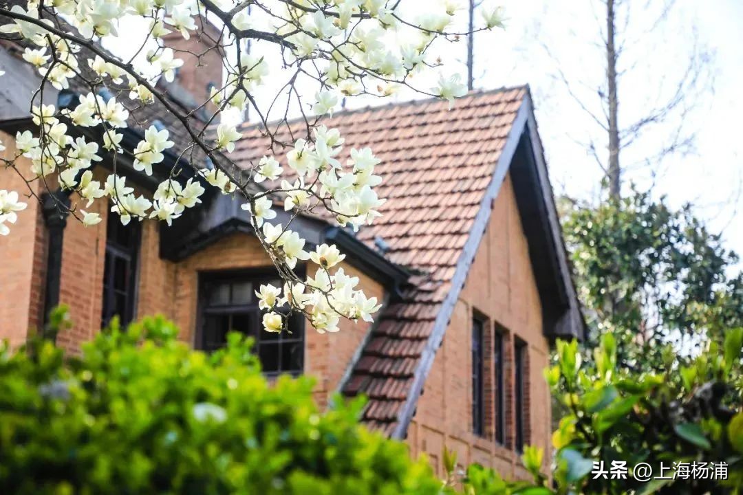 上海理工大学招收台湾生简章,上海大学2023招生简章中外合作