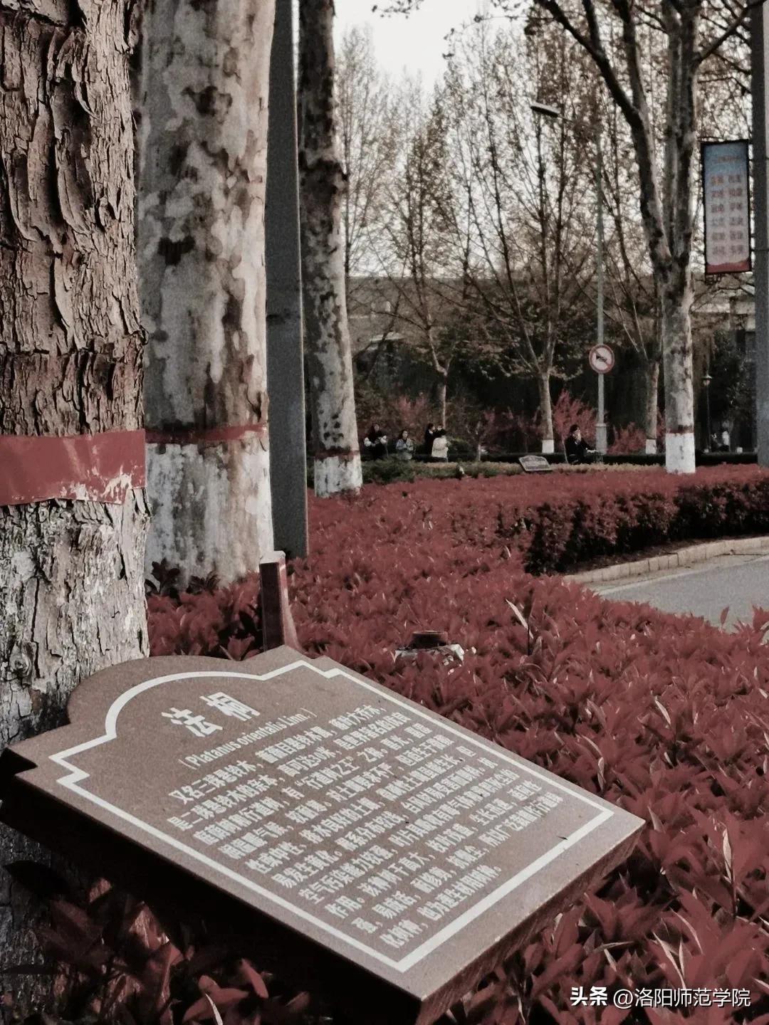 当洛师邂逅43种中国传统色……