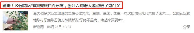 难治性牙痛绝招,牙痛偏方30年不痛