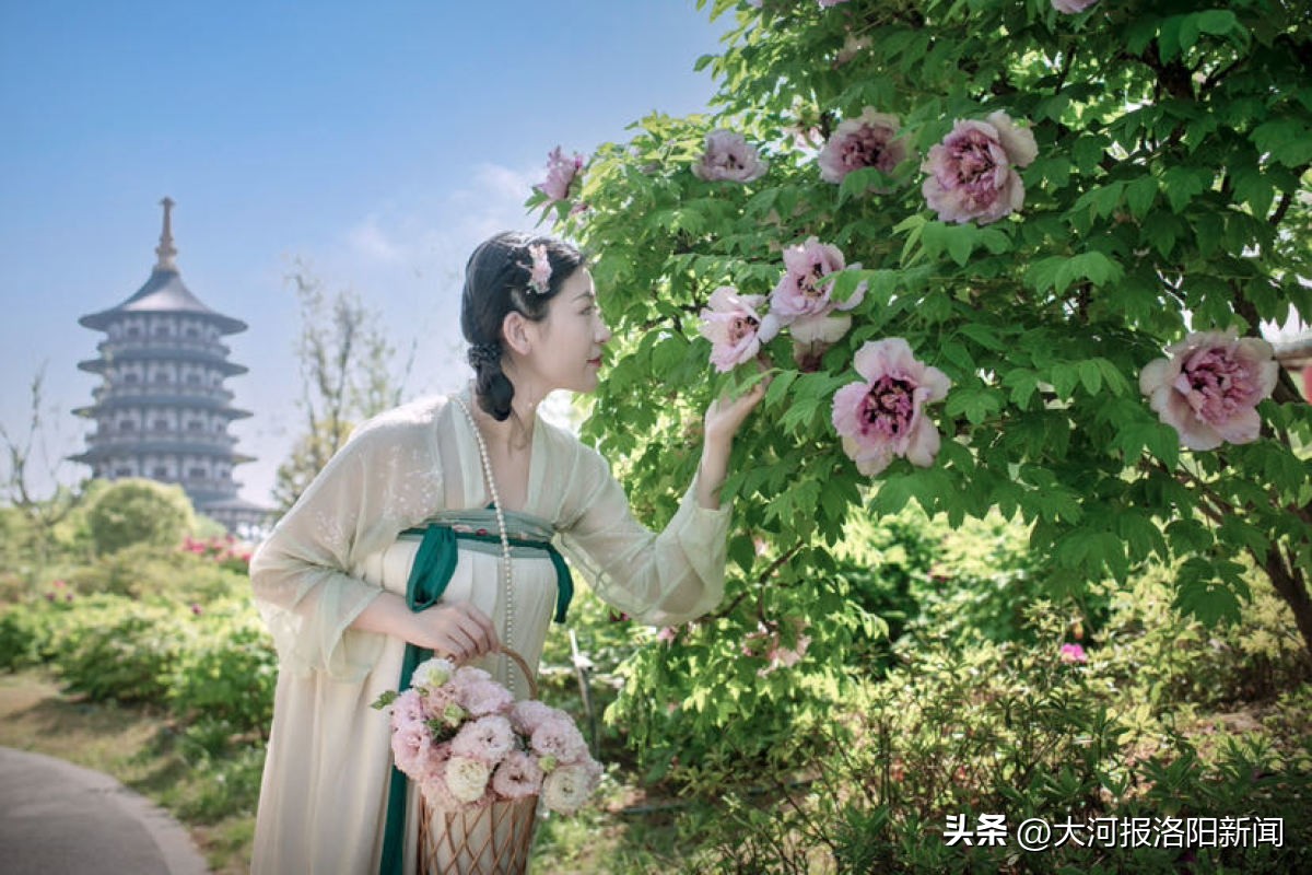 女孩开汉服店创业,洛阳汉服店老板月入15万流水