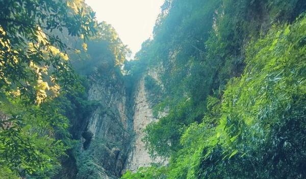 【重庆金佛山】探秘神龙峡，发现黄金大佛的秘密