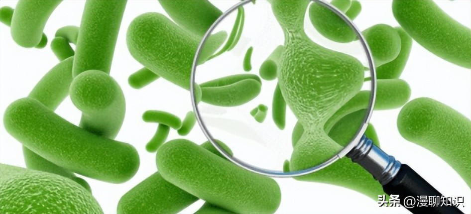 益生菌与致病菌的竞争结合位点有哪些？如何抑制它的生长？