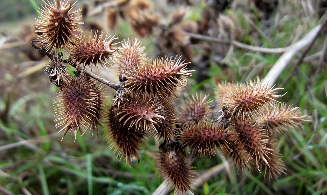 末代太监孙耀庭的悲惨,太监孙耀庭说珍妃