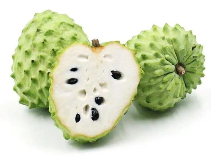 100多种罕见水果欣赏,100种罕见水果名字