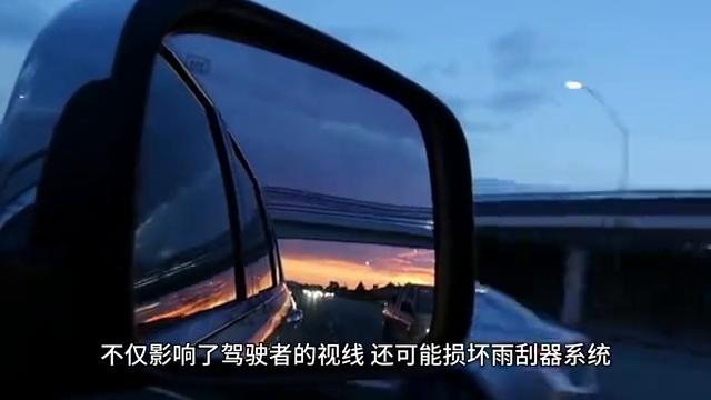 雨刮器抖动异响的原因和解决方法,宝马雨刮器抖动异响