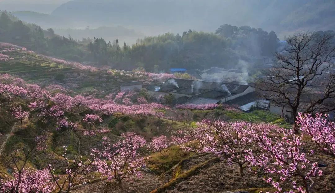 悬念揭晓在即,悬念揭晓视频