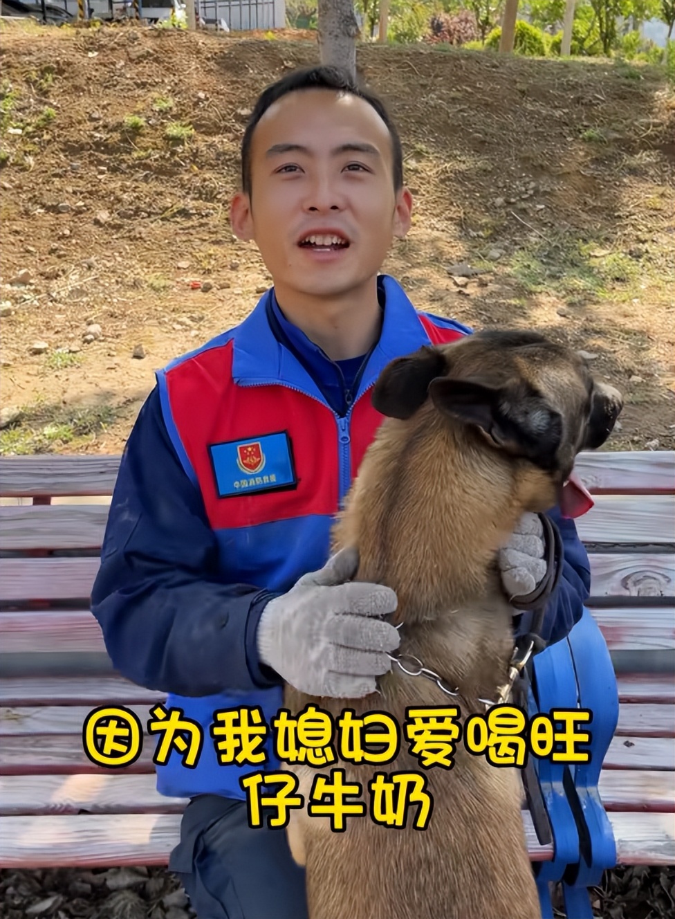 搜救犬起什么名字合适,搜救犬名字怎么取