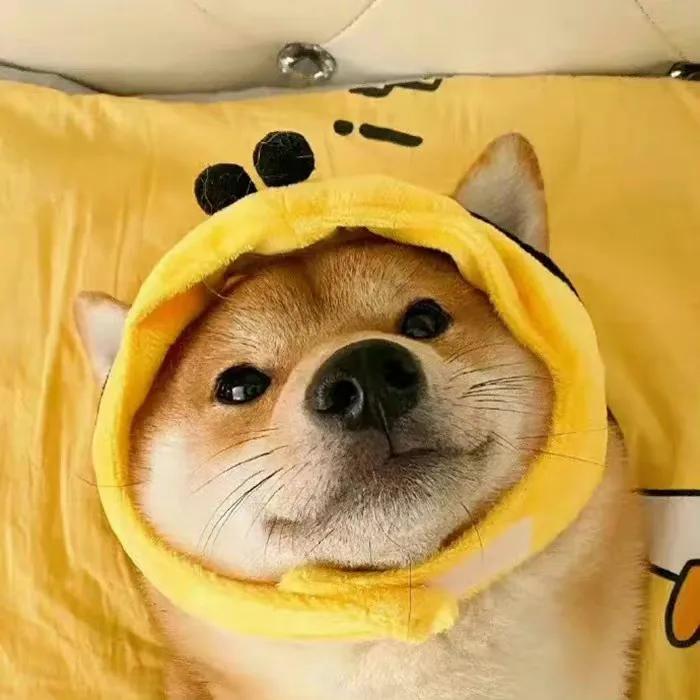 形容时间很久的句子,喜欢一个东西很久的句子