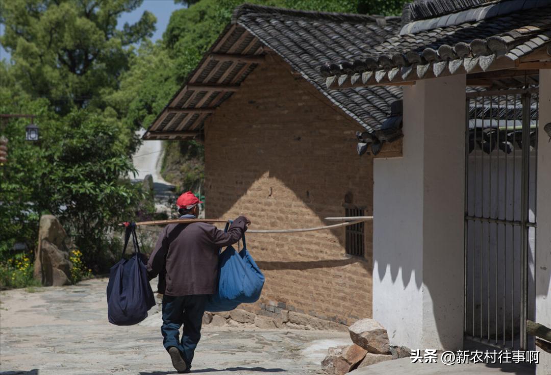 养老在城市好还是回农村老家好,老了适合回农村老家养老吗
