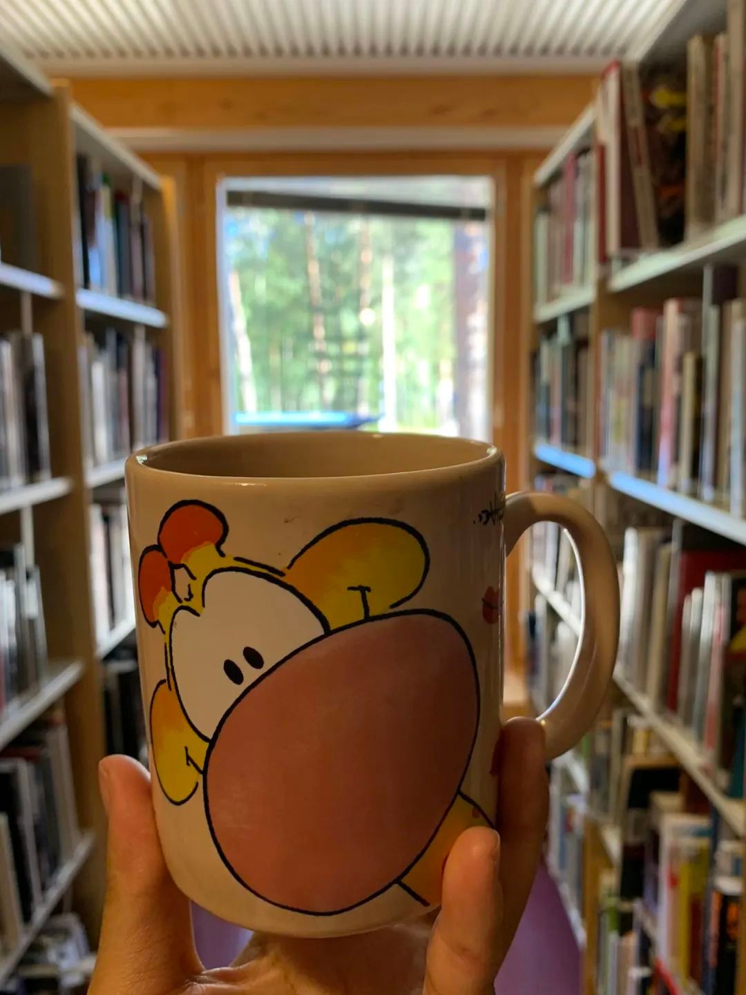 芬兰交换经验分享丨在拉普兰大学交换是一种什么样的体验？