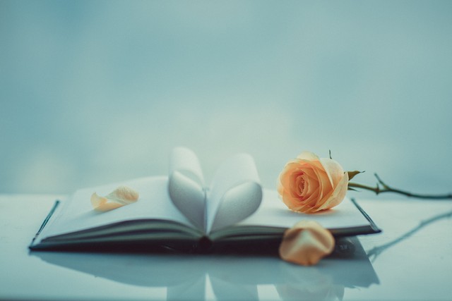 凤凰男软饭硬吃完结,软饭硬吃的凤凰男家庭