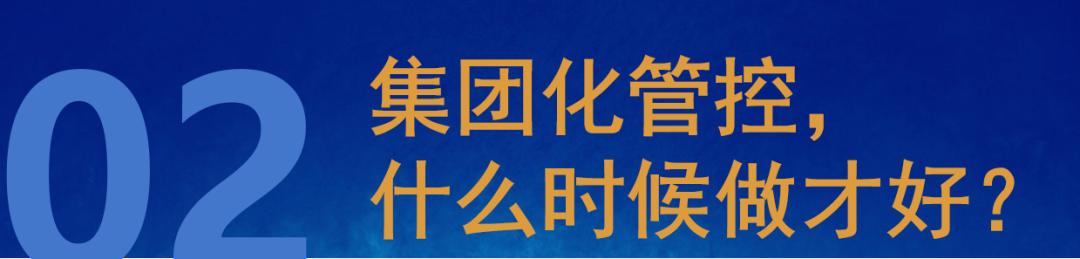 集团化企业如何加强管理,医院集团化运营管控模式