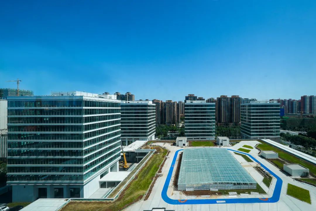 现代化产业体系优势产业新兴产业,不断做强优势产业做优主导产业