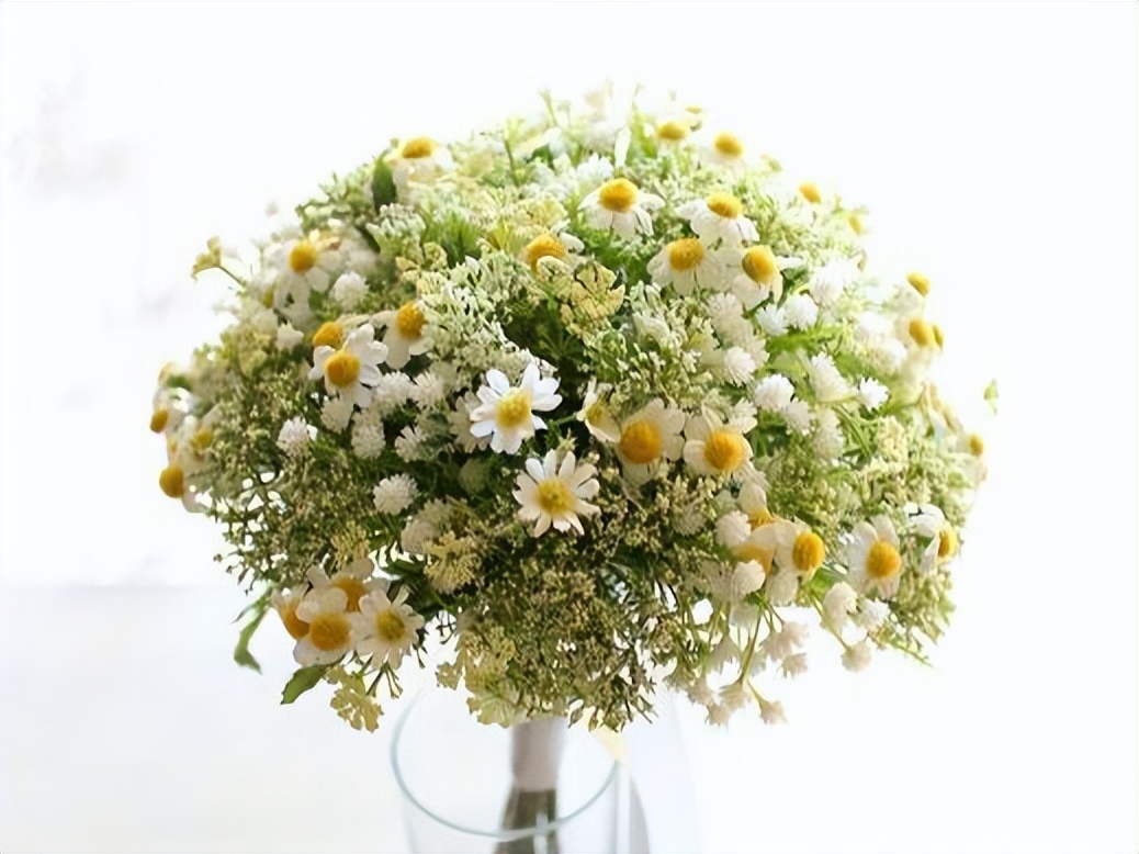 白羊座的深情与礼貌你驾驭不住,白羊座对你的爱情总是无微不至