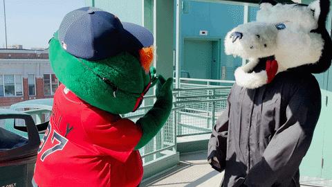 夜生活最棒的美国大学top10！这么会玩你们不要命啦？