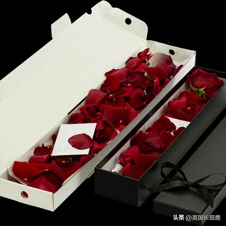 全英线上订花攻略:情人节限定fafa~爱你的心用花表示!