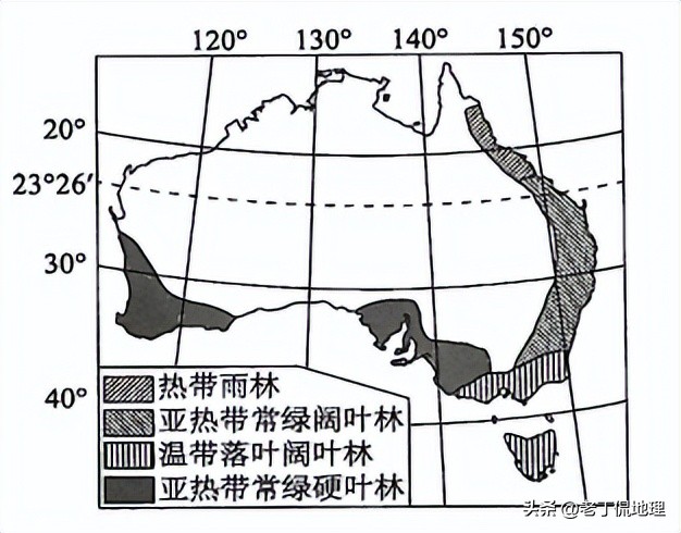 世界杯巡礼桑巴军团6,世界杯袋鼠军团