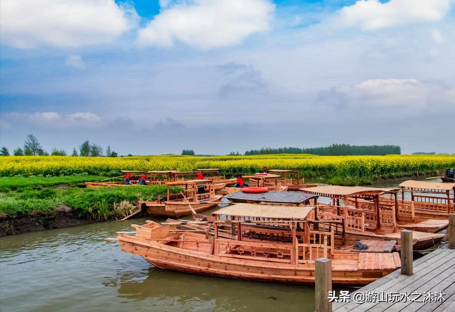 看油菜花的好地旅游攻略,看油菜花哪里最值得去