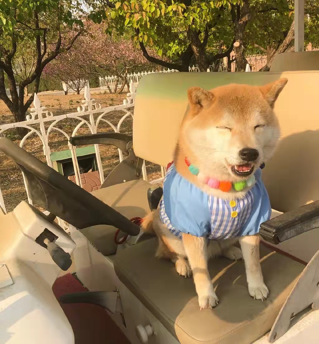 久伴的情侣网名,挽清风情侣网名