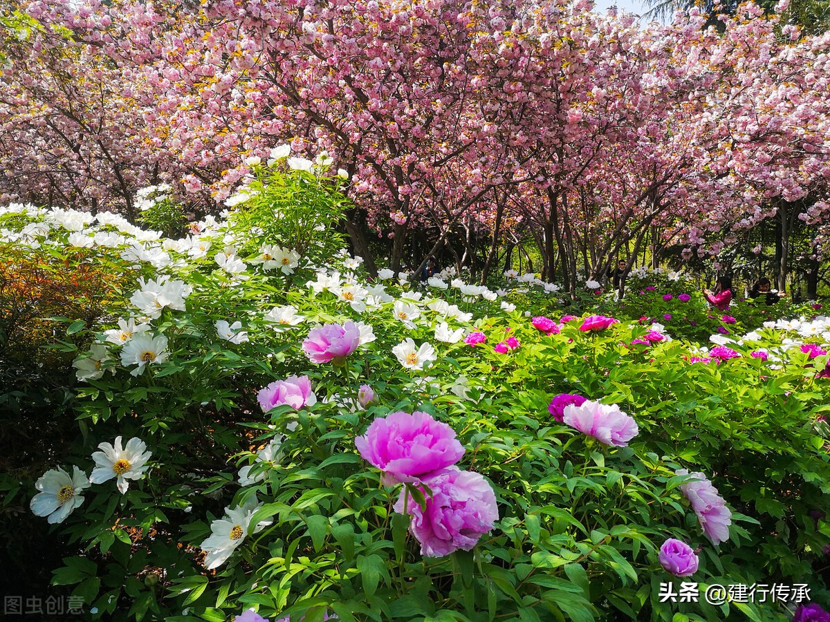 二十四节气谷雨国画,二十四节气谷雨古诗