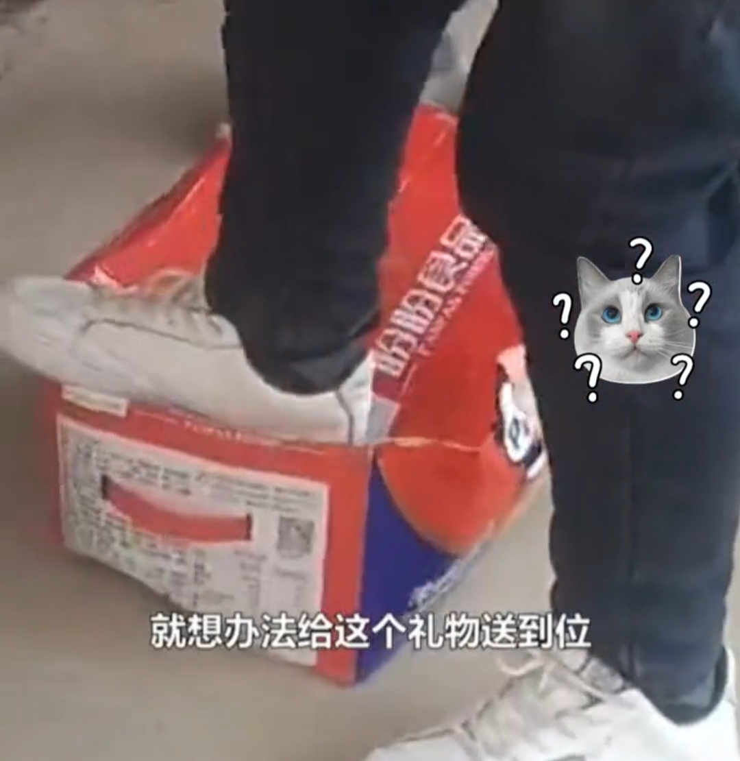 俩外甥掰开门缝硬核送礼,舅舅不在家外甥扣门缝塞礼物