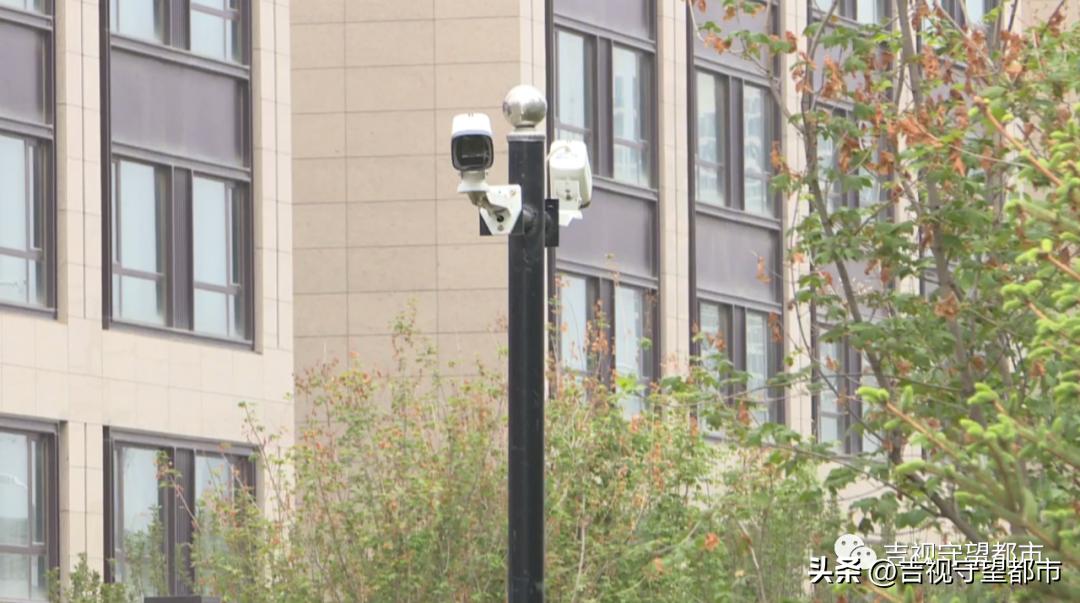 车停在小区被树砸了谁负责,车停路边被树砸伤谁负责