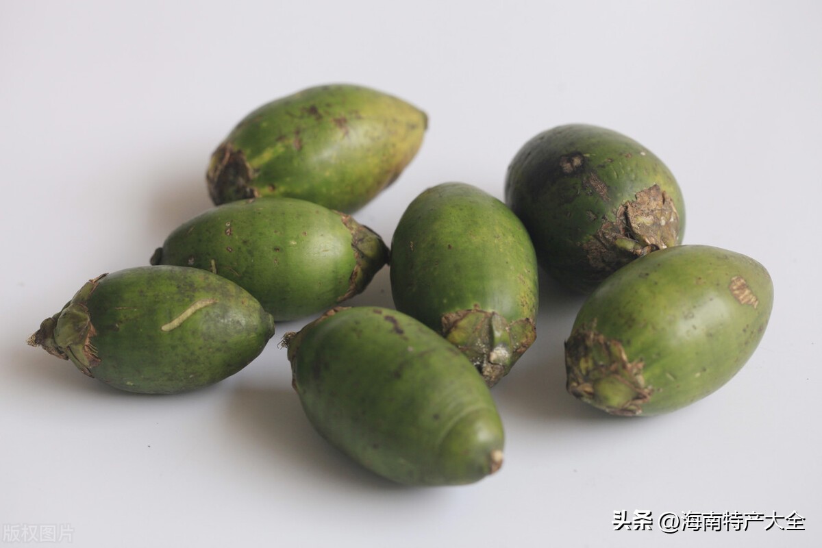 今天海南槟榔青果价格 (2021海南槟榔生果价格)