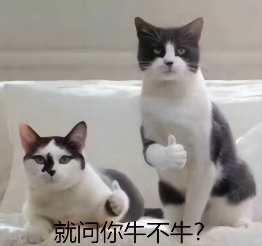 痛经忍住不吃止痛药对还是不对,痛经坚持不吃止痛药