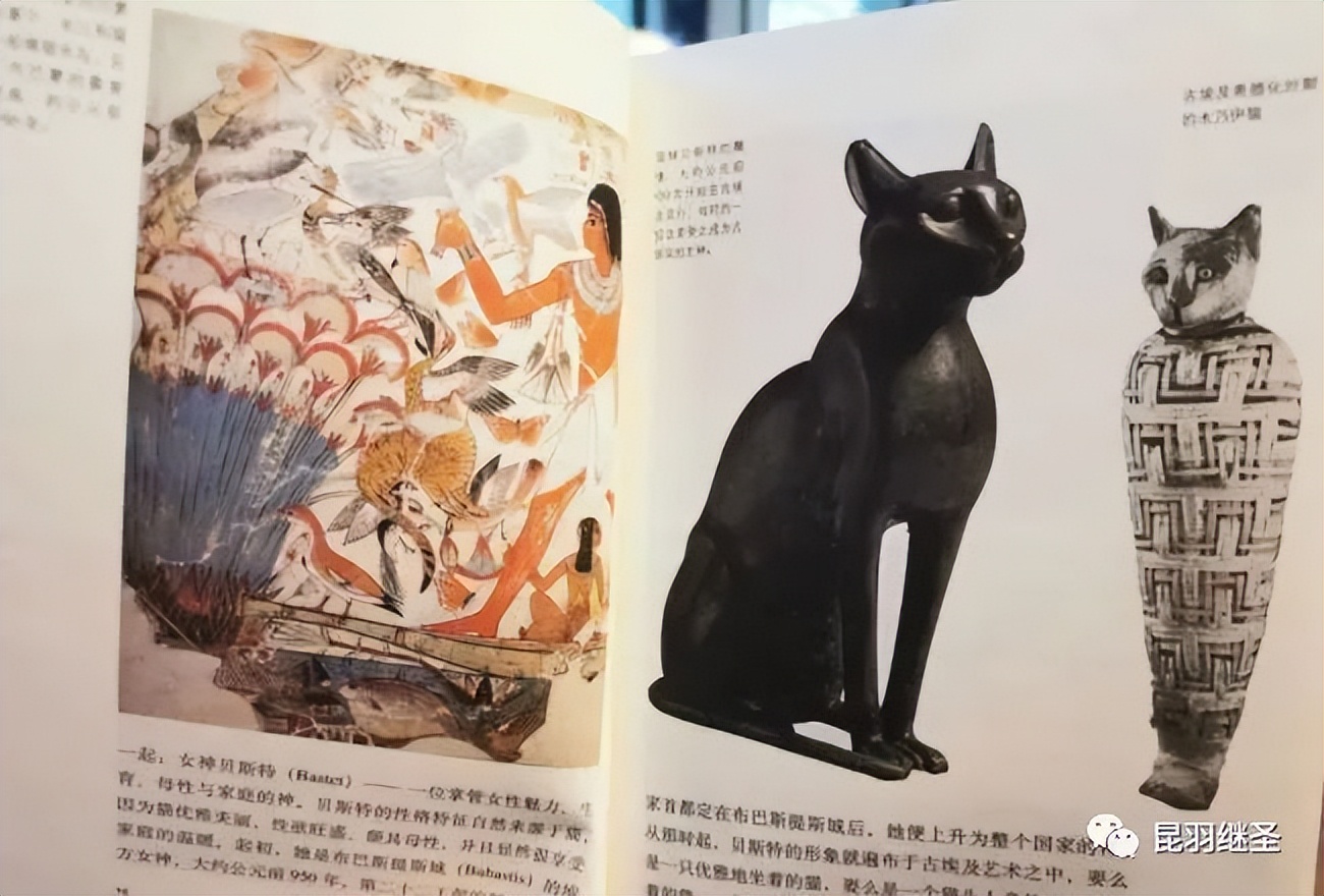 剥掉伪国学的画皮,扒一扒西方历史