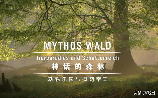 亲子互动纪录片大全,适合儿童看的自然界纪录片