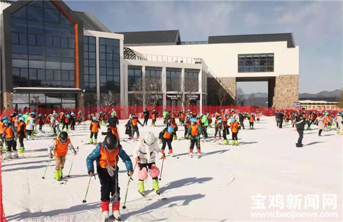 宝鸡教育新闻最新头条,宝鸡教育最新消息2025