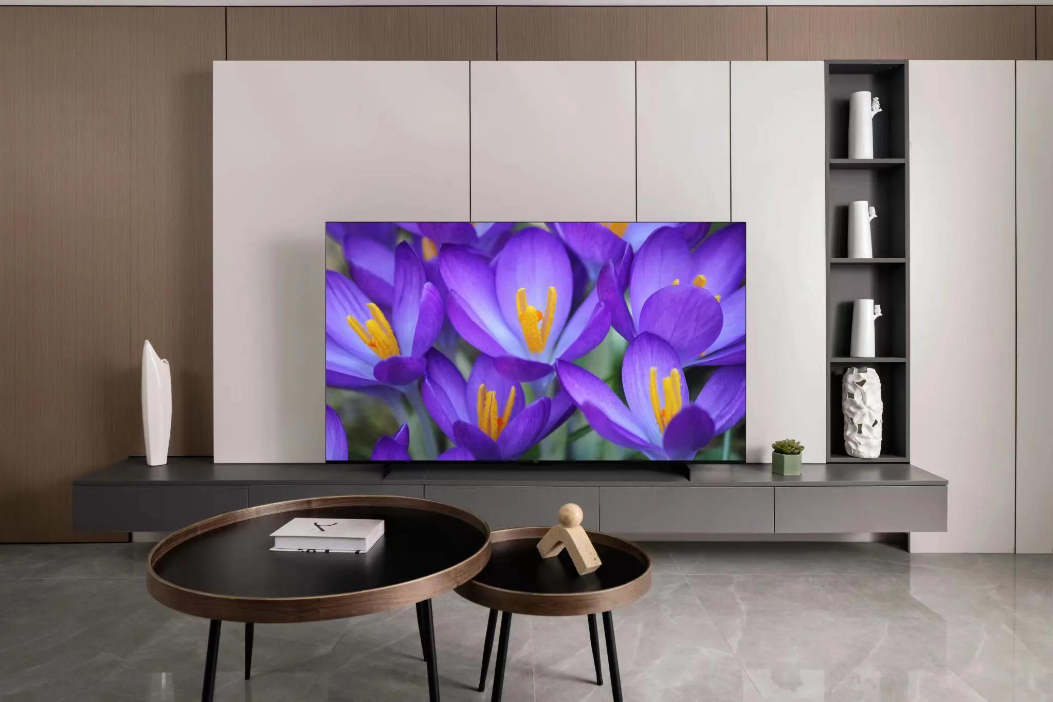 装修处处被嫌弃，唯独夸我【电视买的好】