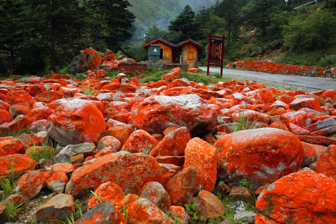 现在的木格措风景,川西高原木格措旅游