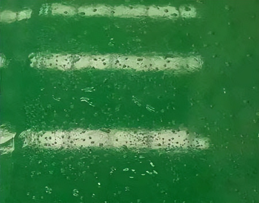 衣服晾不干的地区,衣服晾不干的阳台